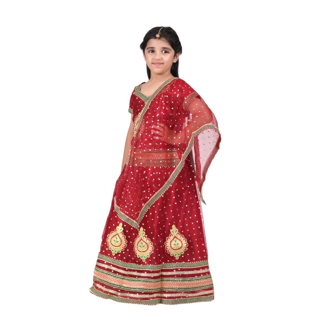 Radha lehenga dress image 1